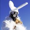 Benutzer Avatar